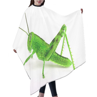 Personality  Isolated Grasshopper, Sideview Hair Cutting Cape
