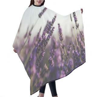 Personality  Purple Hair Cutting Cape
