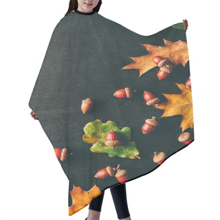 Personality  Full Frame Of Acorns And Oak Leaves On Black Background Hair Cutting Cape