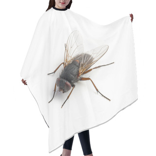 Personality  Black Housefly On White Background Hair Cutting Cape
