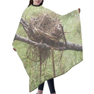 Personality  Empty Bird Nest At The End Of Summer Hair Cutting Cape