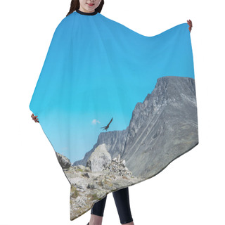 Personality  Eagle Hair Cutting Cape