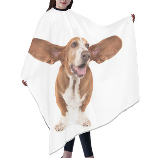 Personality  Funny Basset Hound Hair Cutting Cape