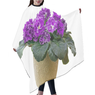 Personality  Bright African Violet Flower Isolated, Cozy Home Decor, Isolated Pot With Blooming African Violet Flower Hair Cutting Cape
