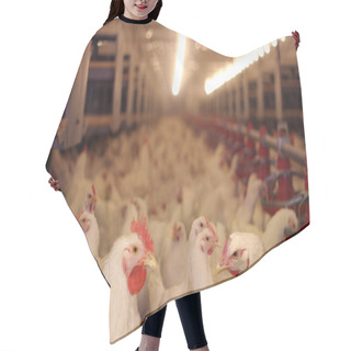 Personality  Chicken Farm, Poultry Hair Cutting Cape