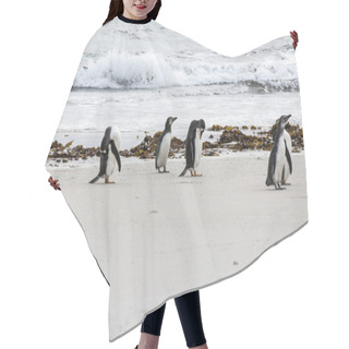 Personality  Magellanic Penguins On The Beach Hair Cutting Cape