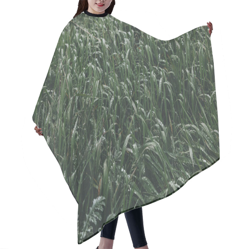 Personality  Grass Hair Cutting Cape