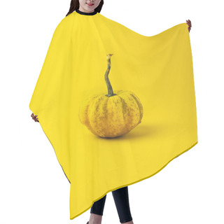 Personality  A Small Yellow Pumpkin On A Yellow Background. Square Photography. Hair Cutting Cape