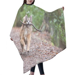 Personality  A Happy Dog Hair Cutting Cape