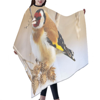 Personality  Goldfinch And Cold Winter Hair Cutting Cape