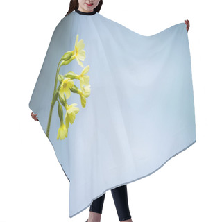 Personality  Cowslip Flower  Hair Cutting Cape