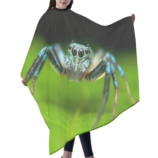 Personality  Jumping Spider Hair Cutting Cape