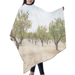Personality  Almond Plantation Trees Hair Cutting Cape