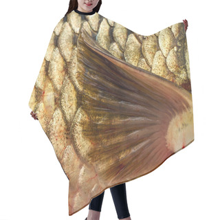 Personality  Pectoral Fin Hair Cutting Cape