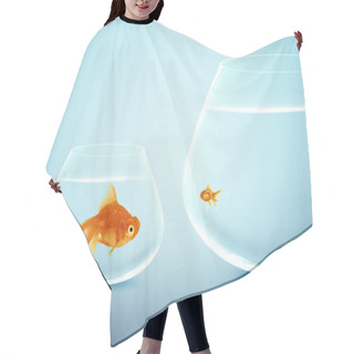 Personality  Big And Small Goldfish Hair Cutting Cape