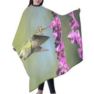 Personality  Annas Hummingbird In Flight With Purple Flowers Hair Cutting Cape