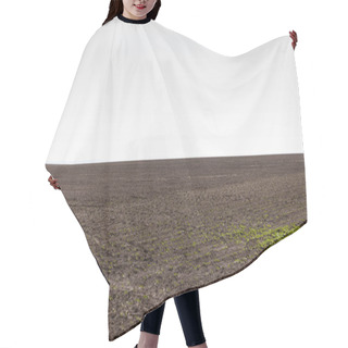 Personality  Grassy Land Near Ground Against Grey Sky  Hair Cutting Cape