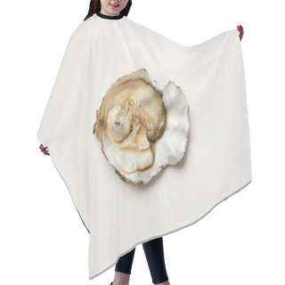 Personality  Open Fresh Oyster Clam Isolated On White Hair Cutting Cape