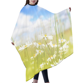 Personality  Beautifufl Spring Meadow Background Hair Cutting Cape