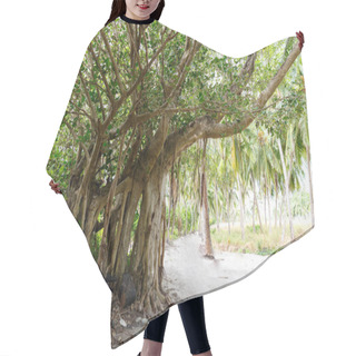 Personality  Path And Trees Hair Cutting Cape