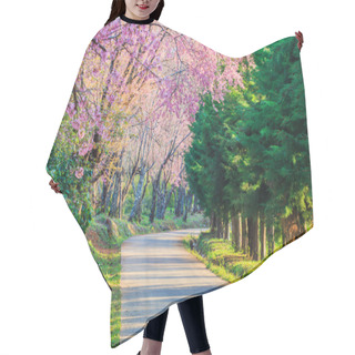 Personality  Sakura Or Cherry Blossom Trees   Hair Cutting Cape