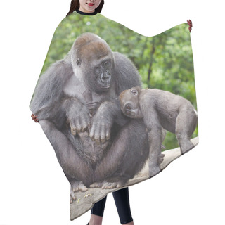 Personality  Female Gorilla Caring For Young Hair Cutting Cape