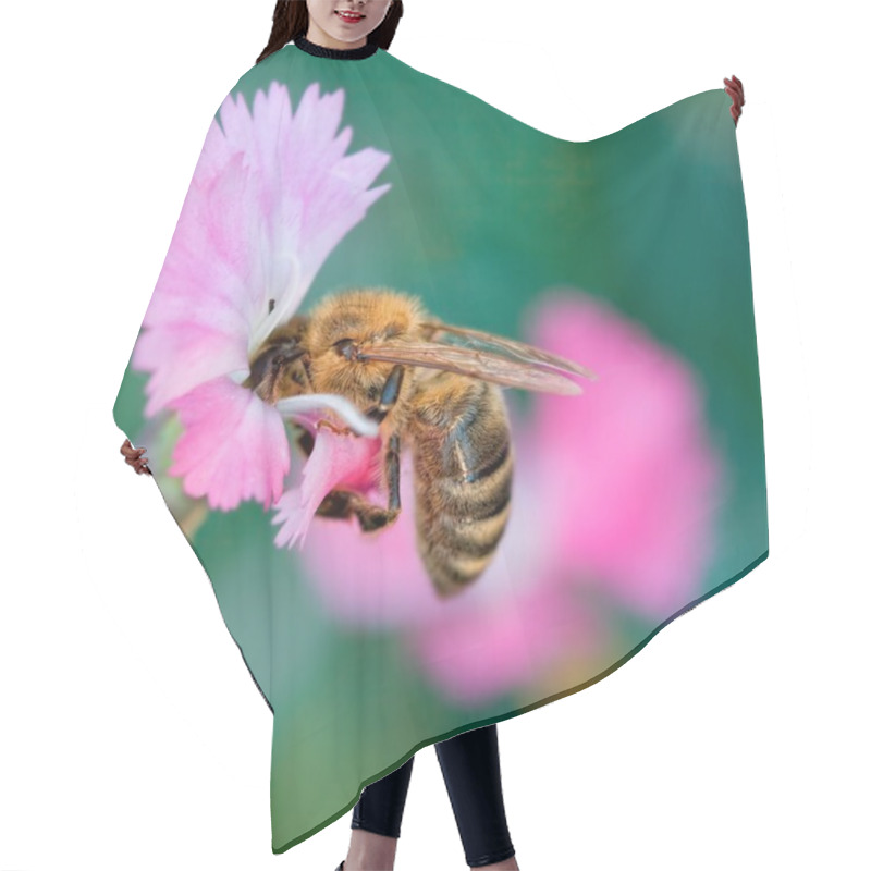 Personality  Bee On Flower Hair Cutting Cape
