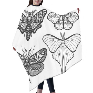 Personality  Set Of Decorative Butterflies. Monochrome Drawing Isolated. Vector Illustration. Print, Posters, T-shirt, Textiles. Hair Cutting Cape