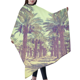 Personality  Date Palms Hair Cutting Cape