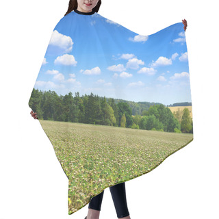 Personality  Summer Landscape With Field Of Silybum Marianum Hair Cutting Cape