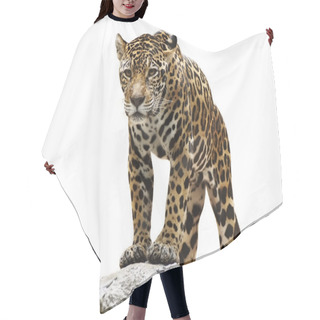 Personality  Leopard On The Rock Hair Cutting Cape