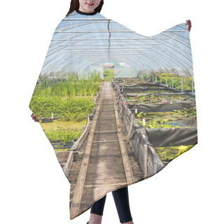 Personality  Large Greenhouse, Plant Nursery, Garden Centre Hair Cutting Cape