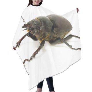 Personality  Stag Beetle Hair Cutting Cape