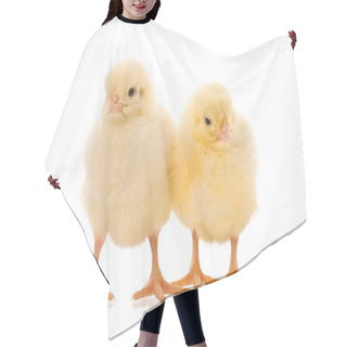 Personality  Two Chicks Hair Cutting Cape