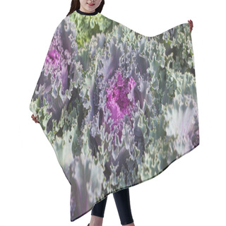 Personality  Fresh Red Cabbage Hair Cutting Cape