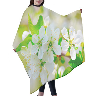 Personality  Sprig Of Flowering Cherry Blossoms In Spring Garden Hair Cutting Cape