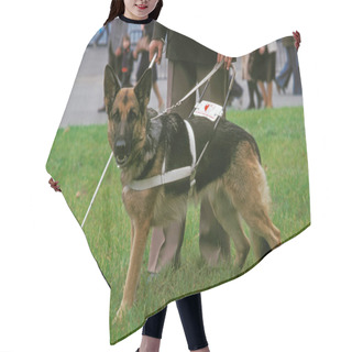 Personality  German Shepherd Dog, Guide Dog For Blind, Walking With Owner   Hair Cutting Cape