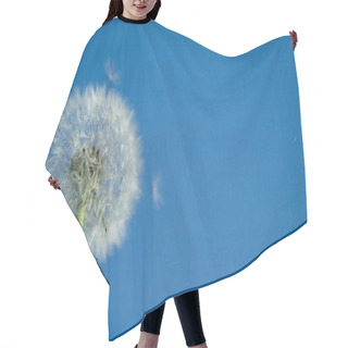 Personality  White Dandelion Against Sky Background Hair Cutting Cape