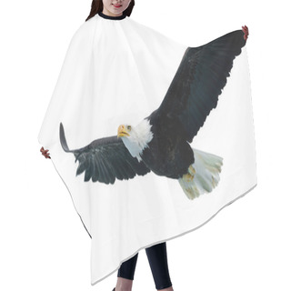 Personality  Bald Eagle (22 Years) Hair Cutting Cape
