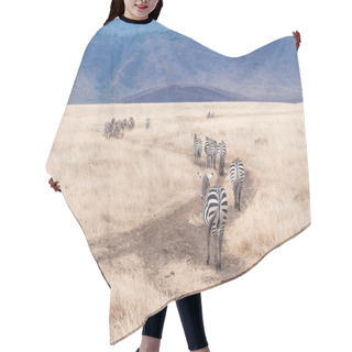 Personality  Common Zebras, Africa Hair Cutting Cape
