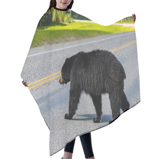 Personality  A Big Black Bear On A Meadow In Alaska Hair Cutting Cape