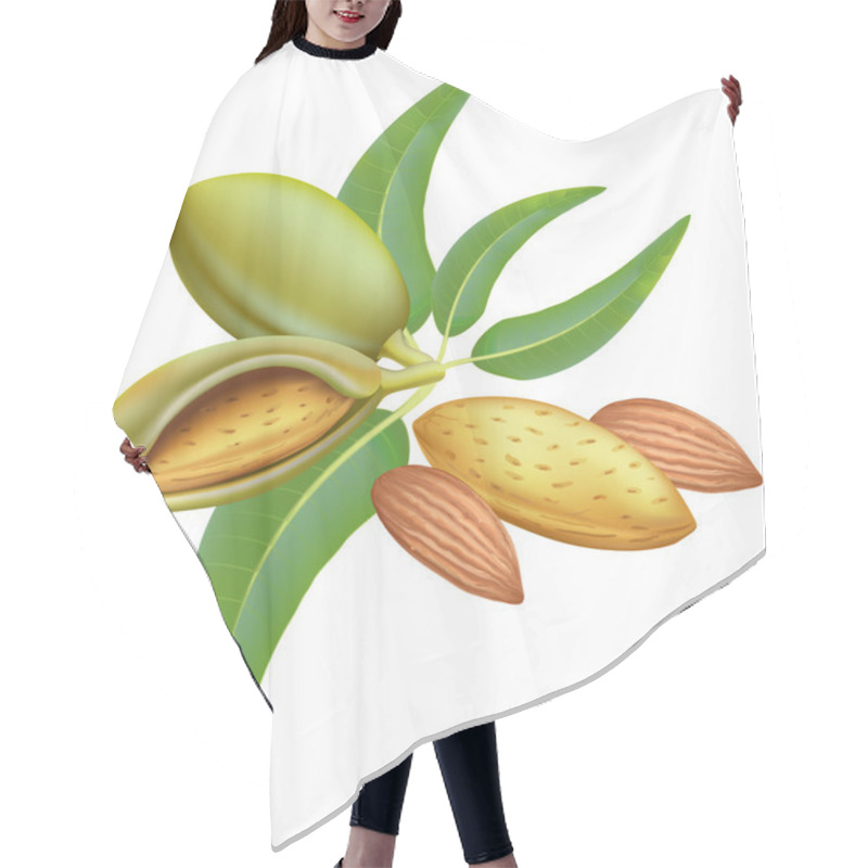 Personality  Almonds. Branch with leaves and fruits. hair cutting cape