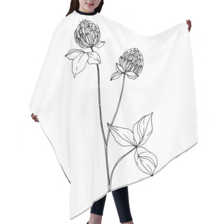 Personality  Vector Wildflower Floral Botanical Flowers. Black And White Engraved Ink Art. Isolated Wildflowers Illustration Element. Hair Cutting Cape