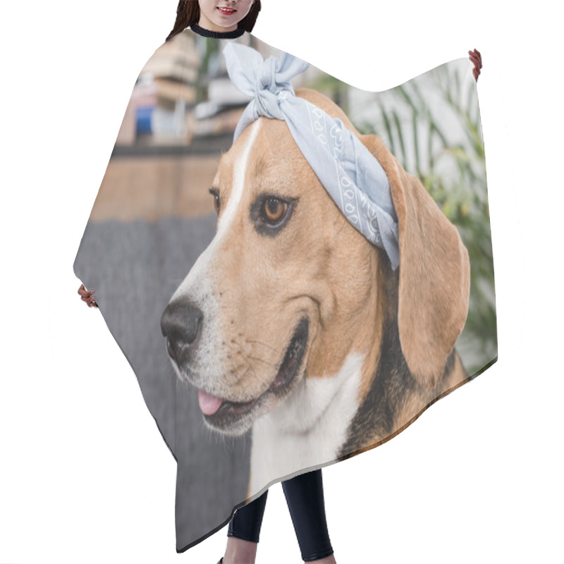 Personality  Beagle Dog In Bandana Hair Cutting Cape