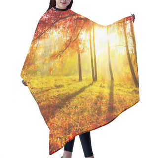 Personality  Autumnal Park. Autumn Trees And Leaves. Fall Hair Cutting Cape