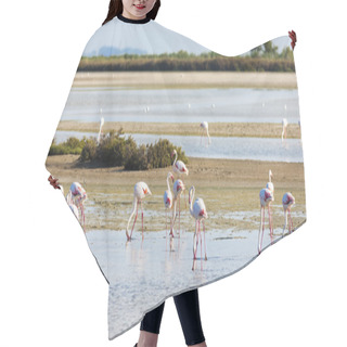 Personality  Flamingos In Camargue, Provence, France Hair Cutting Cape
