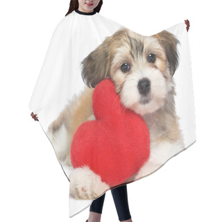 Personality  Lover Valentine Havanese Puppy Hair Cutting Cape