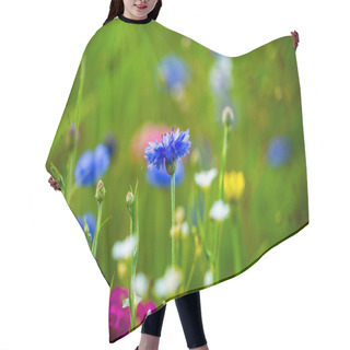 Personality  Cornflower In The Meadow, Floral , Flower Hair Cutting Cape