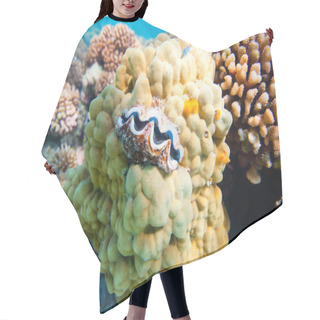 Personality  Coral Reef Hair Cutting Cape