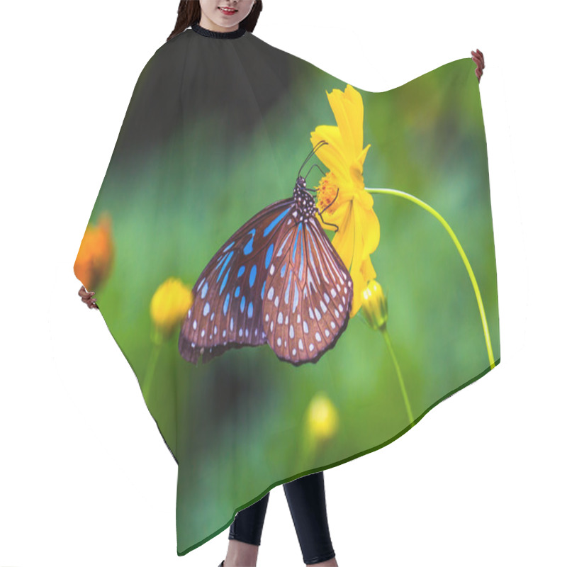 Personality  A beautiful butterfly on a flower. hair cutting cape